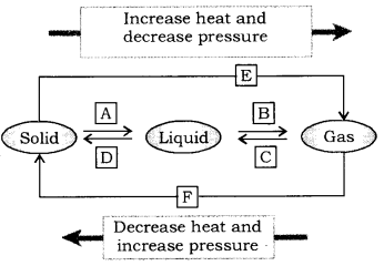  tiwari academy class 9 science chapter-1-matter-in-our-surroundings-1